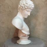 Apollo plaster bust