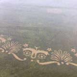 Pedestal in oak and green leather