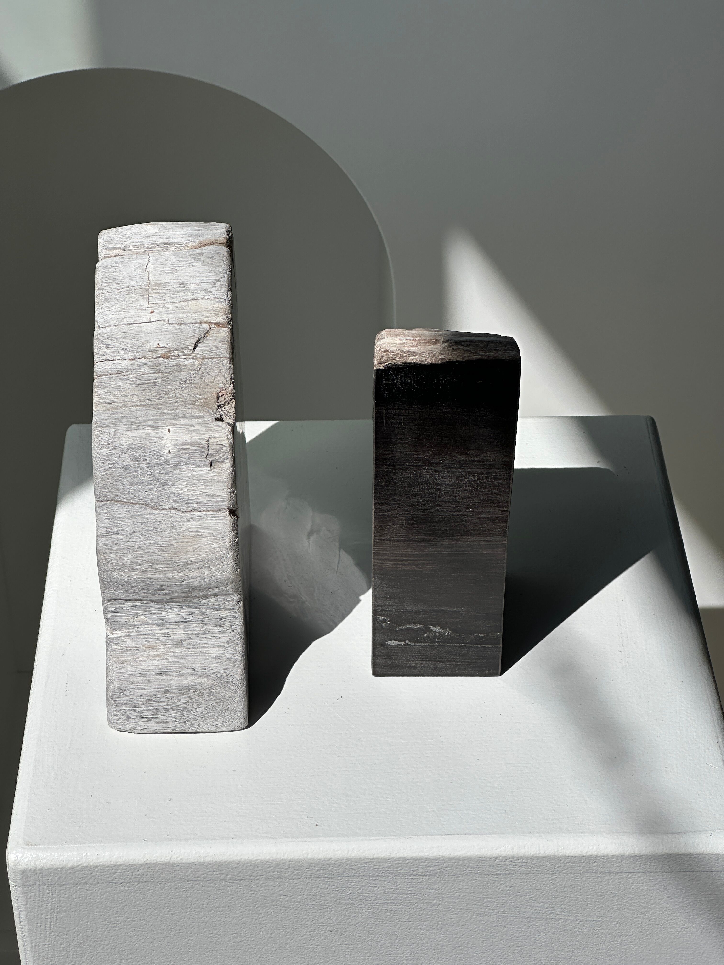 Black petrified wood bookend H17 L17 P6