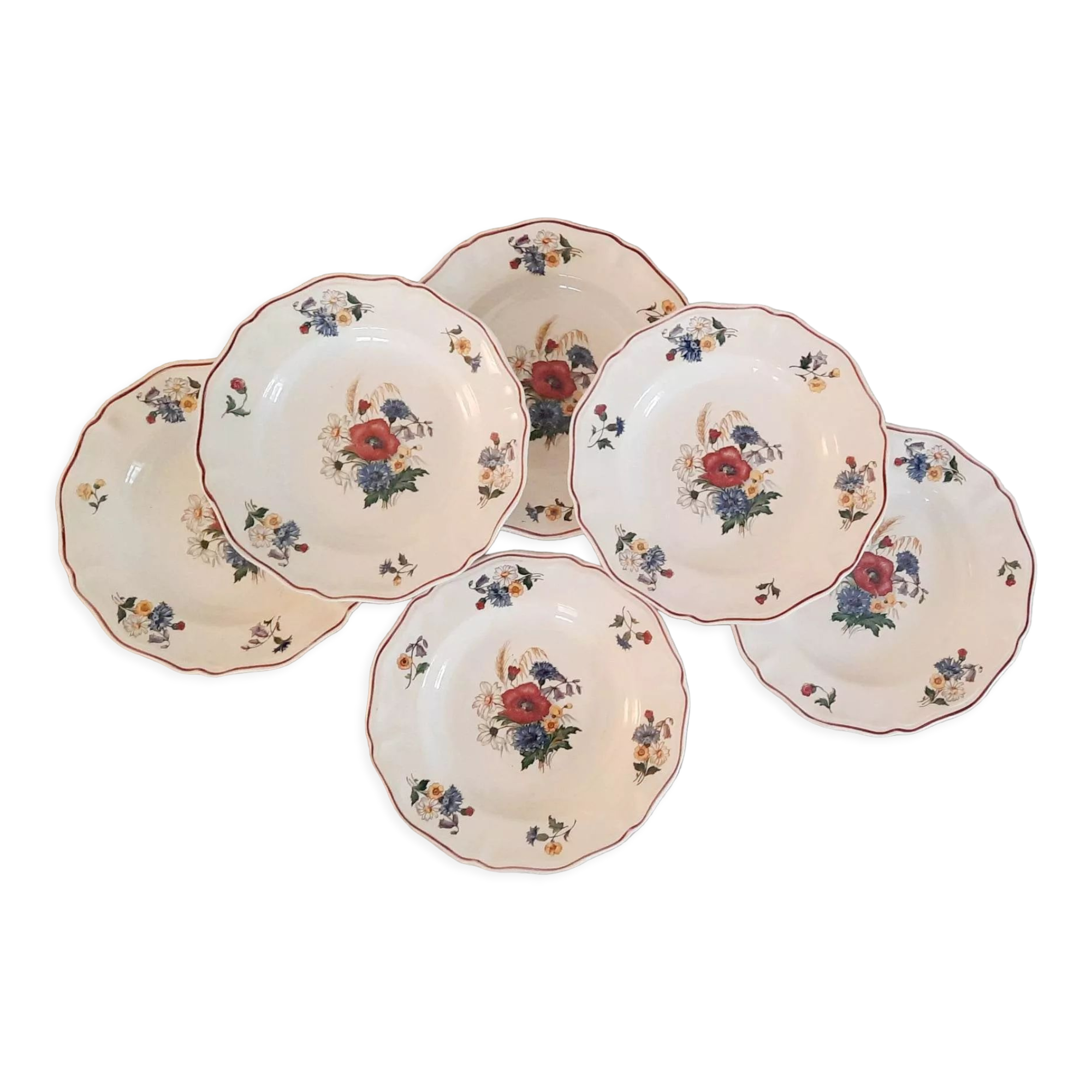 Hollow plates in earthenware Sarreguemines Model "Agreste" Vintage