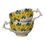 Sunflower flower cups and milk jug