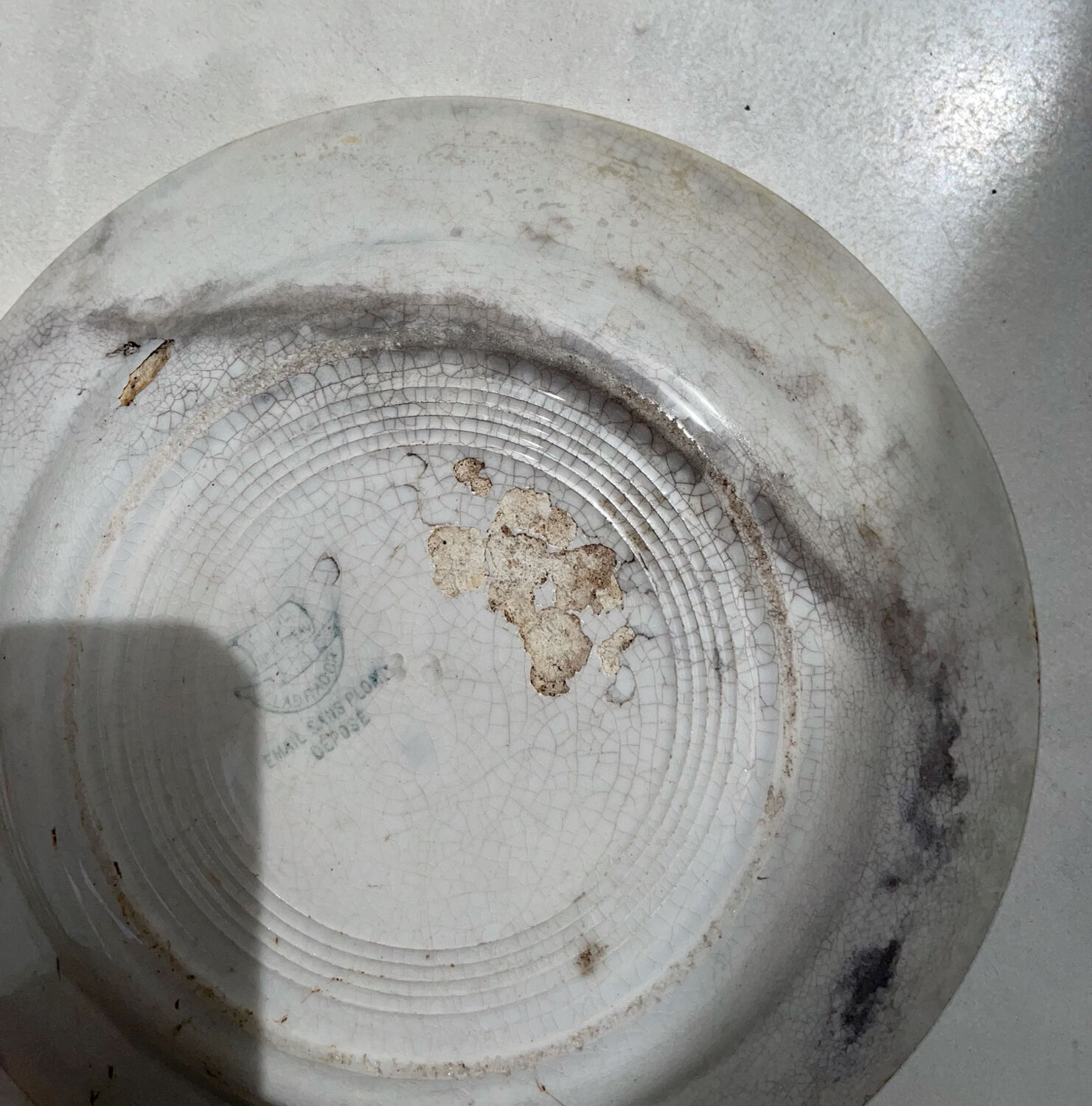 Old Creil and Montereau Labrador plate