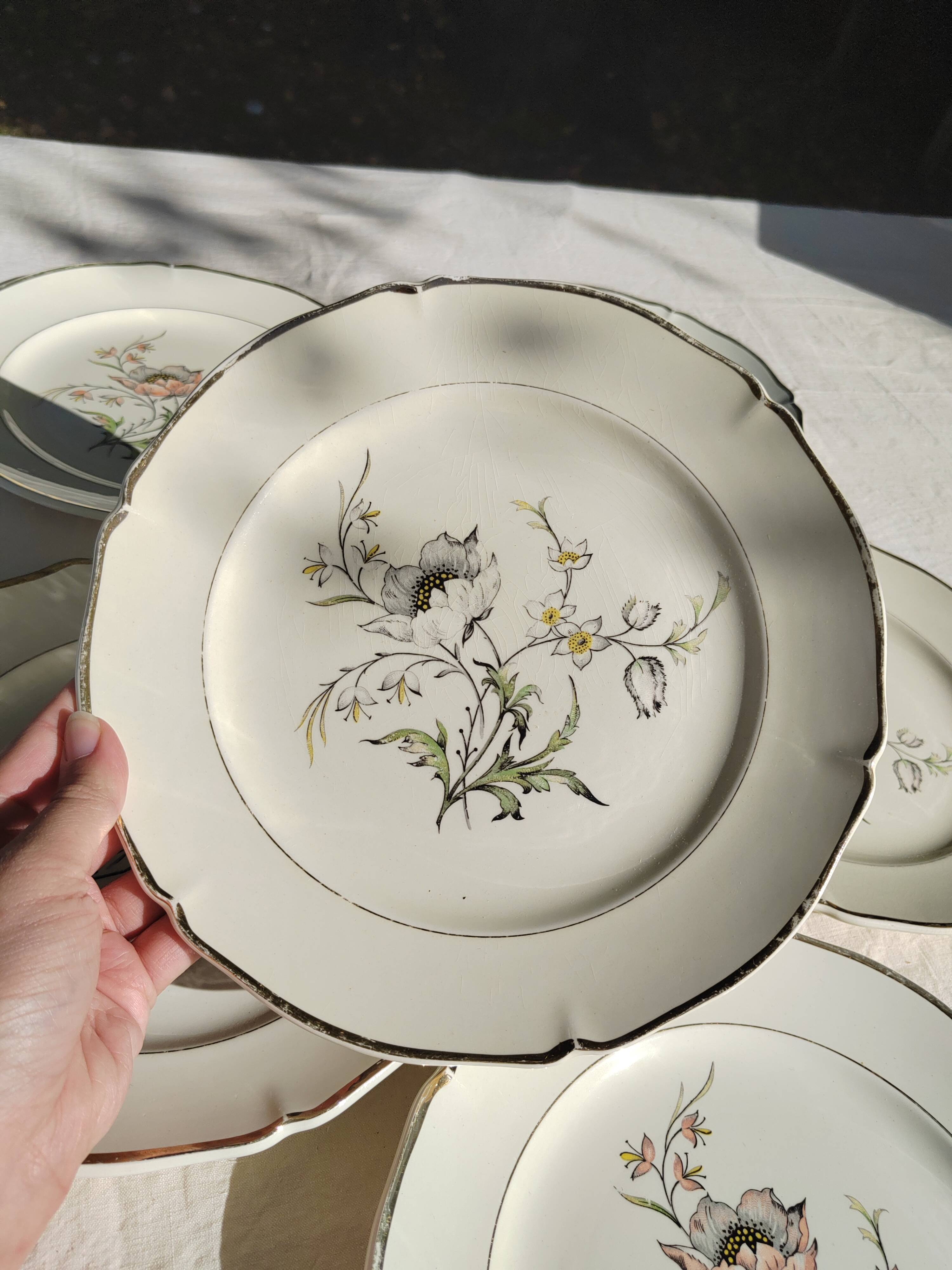 6 flat plates “Saverne” Saint Amand