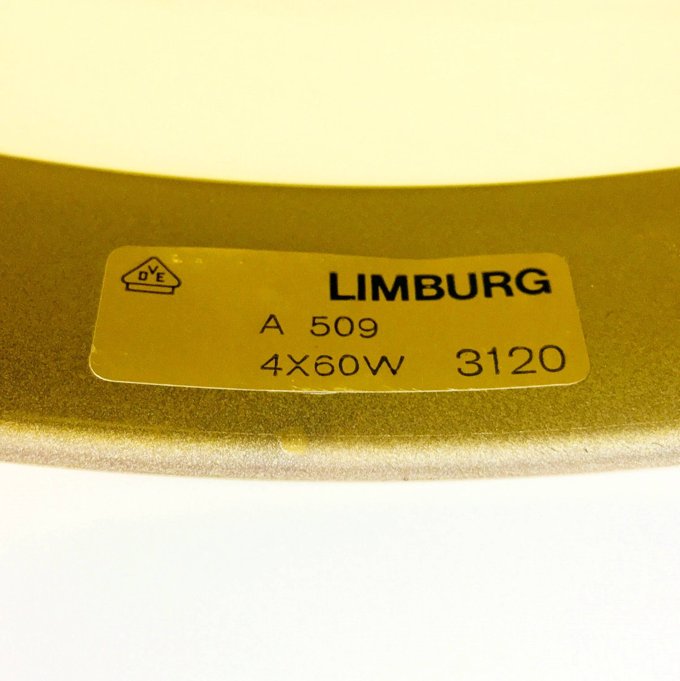 Large Mid-Century Glass Ceiling Light/Flush Mount from Limburg, Germany, 1960s