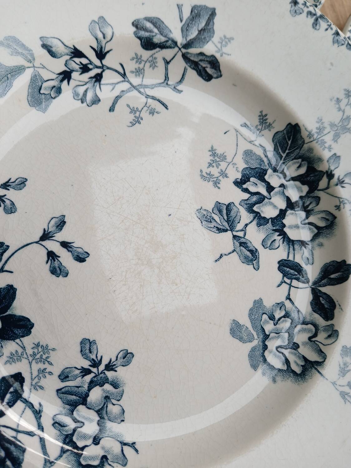 Set of 6 Terre de Fer plates, Acacia model