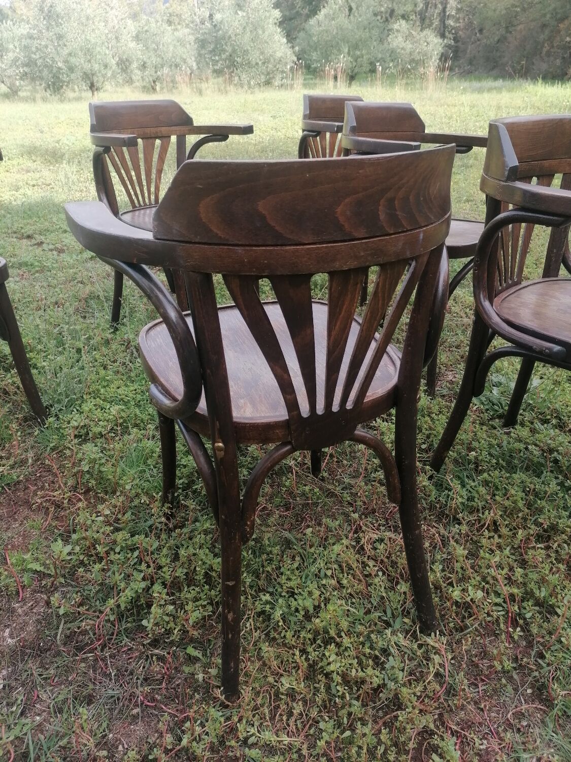 Set of 30 vintage bistro armchairs