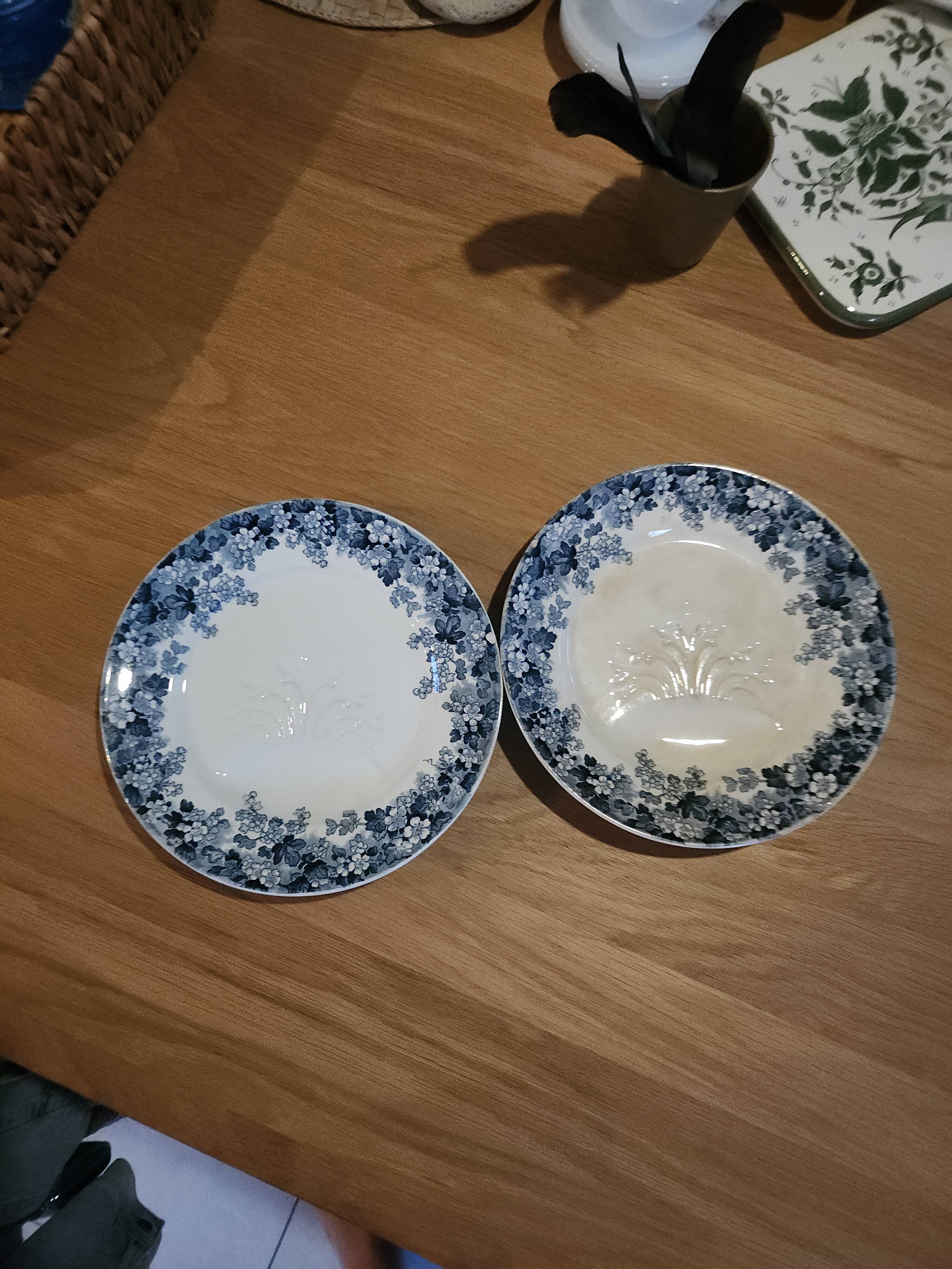 Pair of antique asparagus plates "Récamier" in Terre de Fer, Sarregue