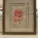 Aquarelle rose