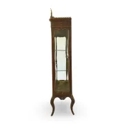 Elegant antique display cabinet, dating to 19th century