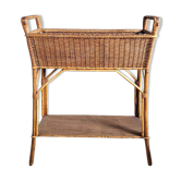 Planter door rattan plant