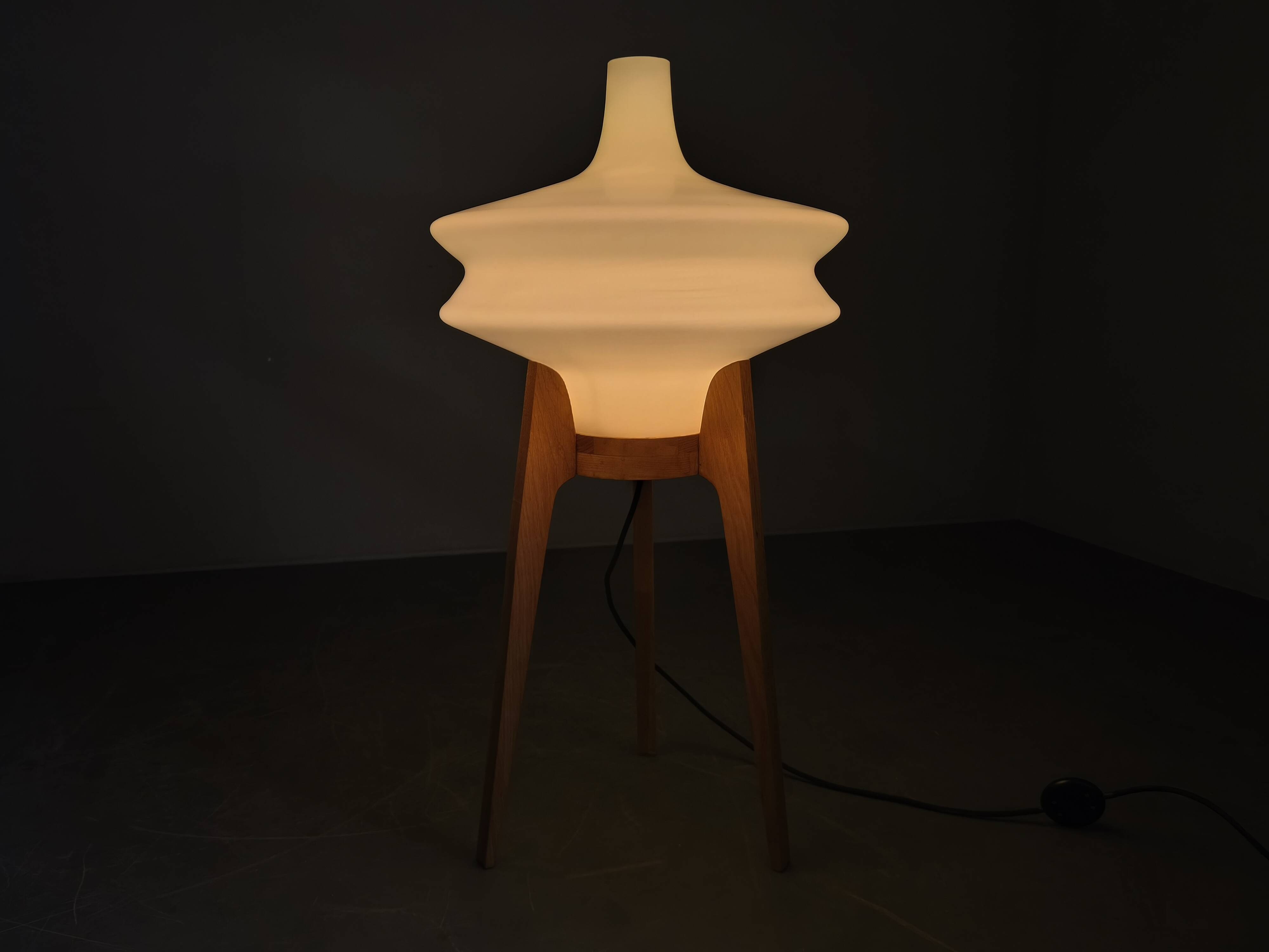 Mid Century Sculptural Floor Lamp with Glass Shade, 1970s