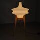 Mid Century Sculptural Floor Lamp with Glass Shade, 1970s