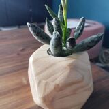 Soliflore en bois massif avec fiole en verre