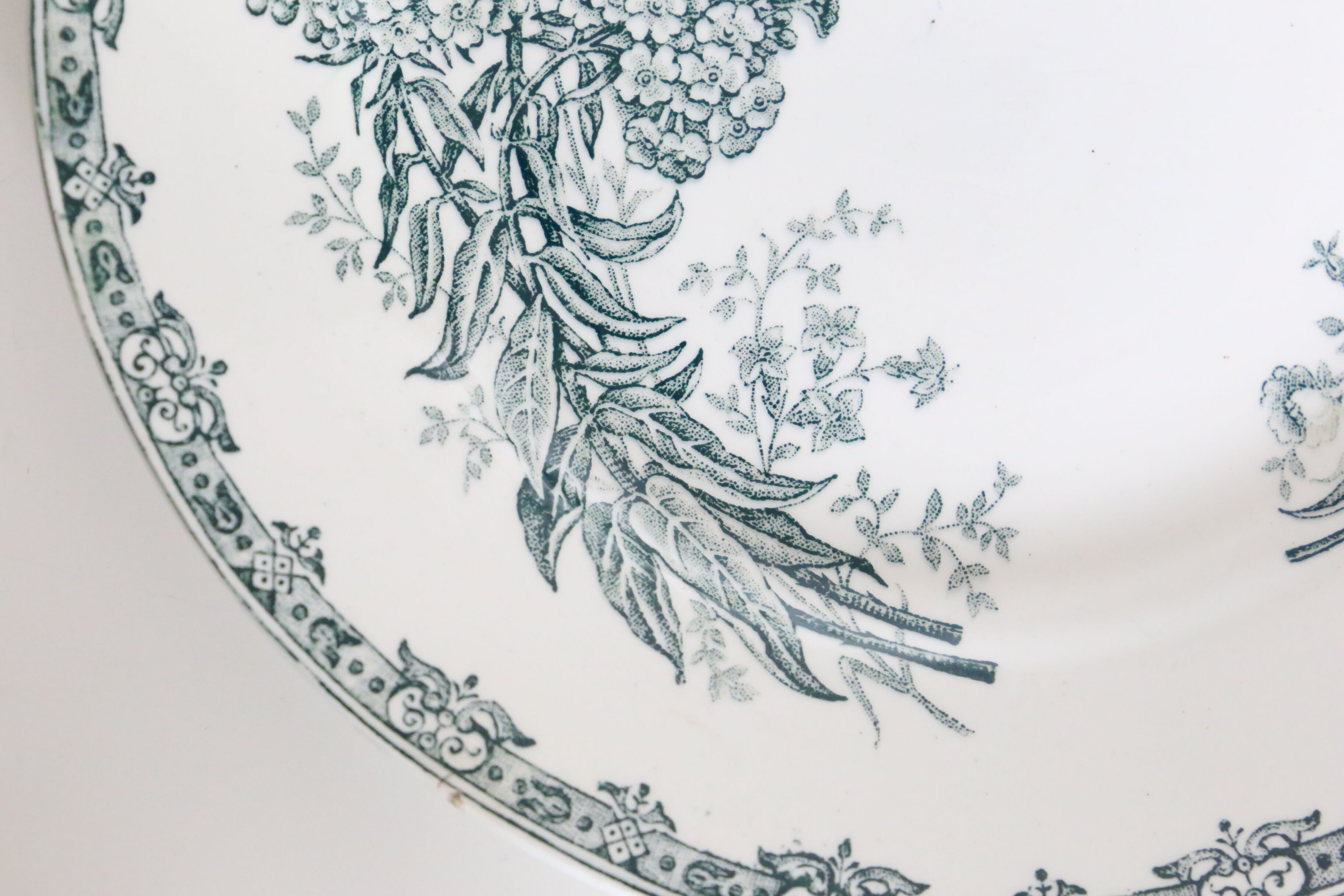 Set of 4 flat plates Terre de Fer, Saint Amand, Daisy