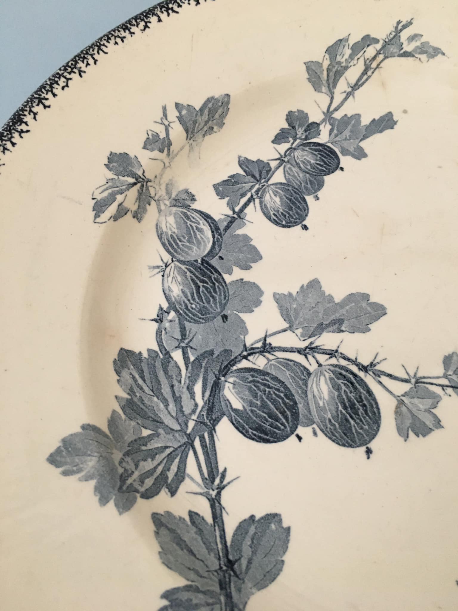 Faience serving dish stamped U & CIE - Sarreguemines, Gooseberry model