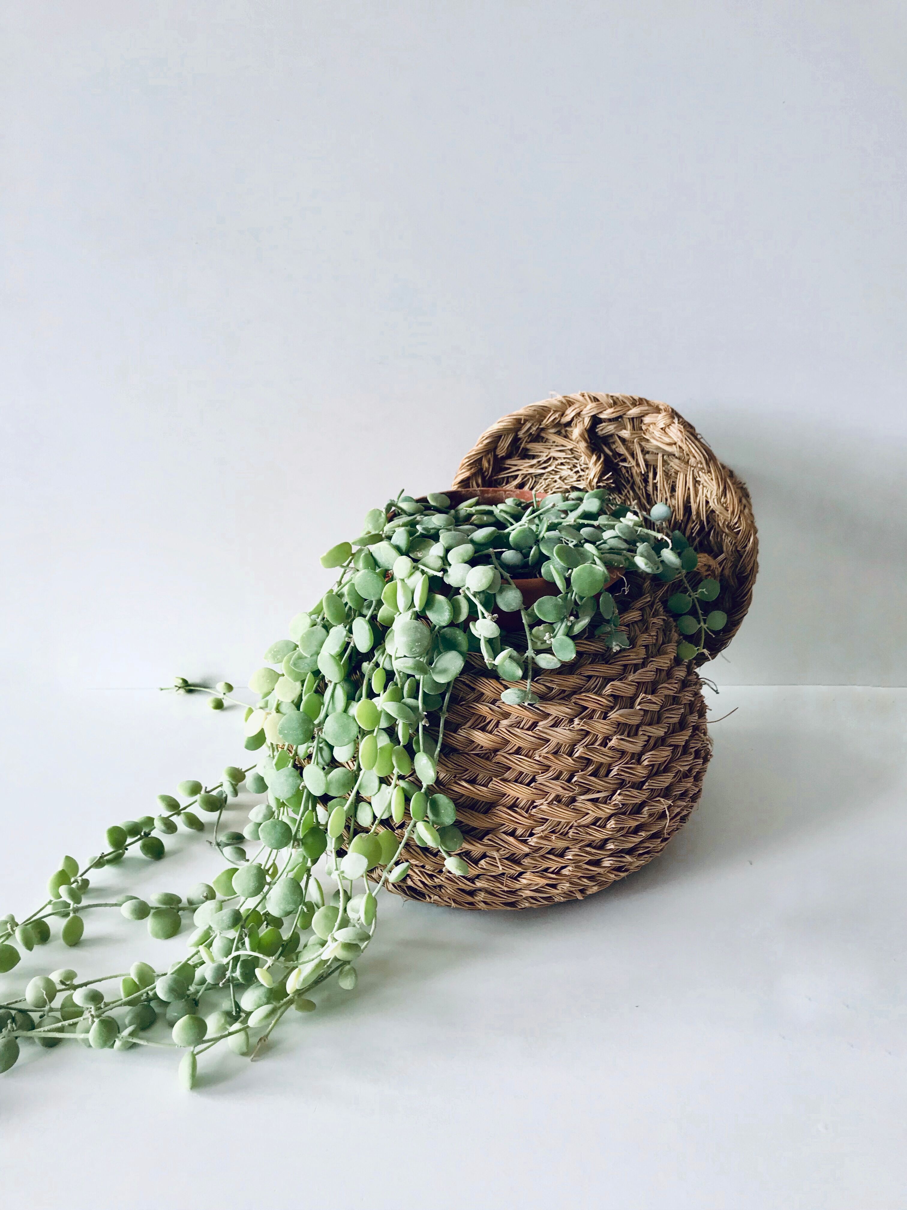 Round bohemian basket