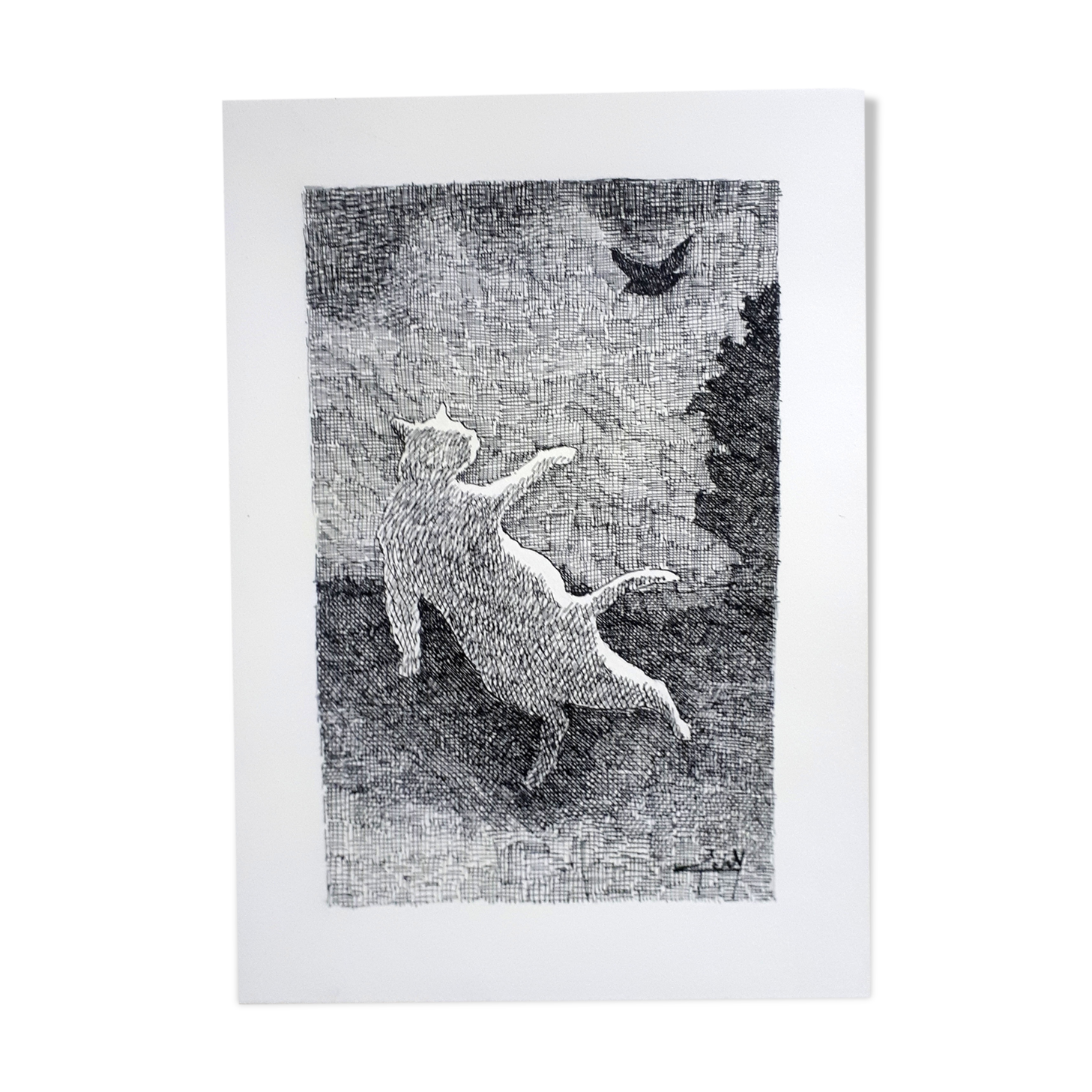 "The Bird" Ink from China