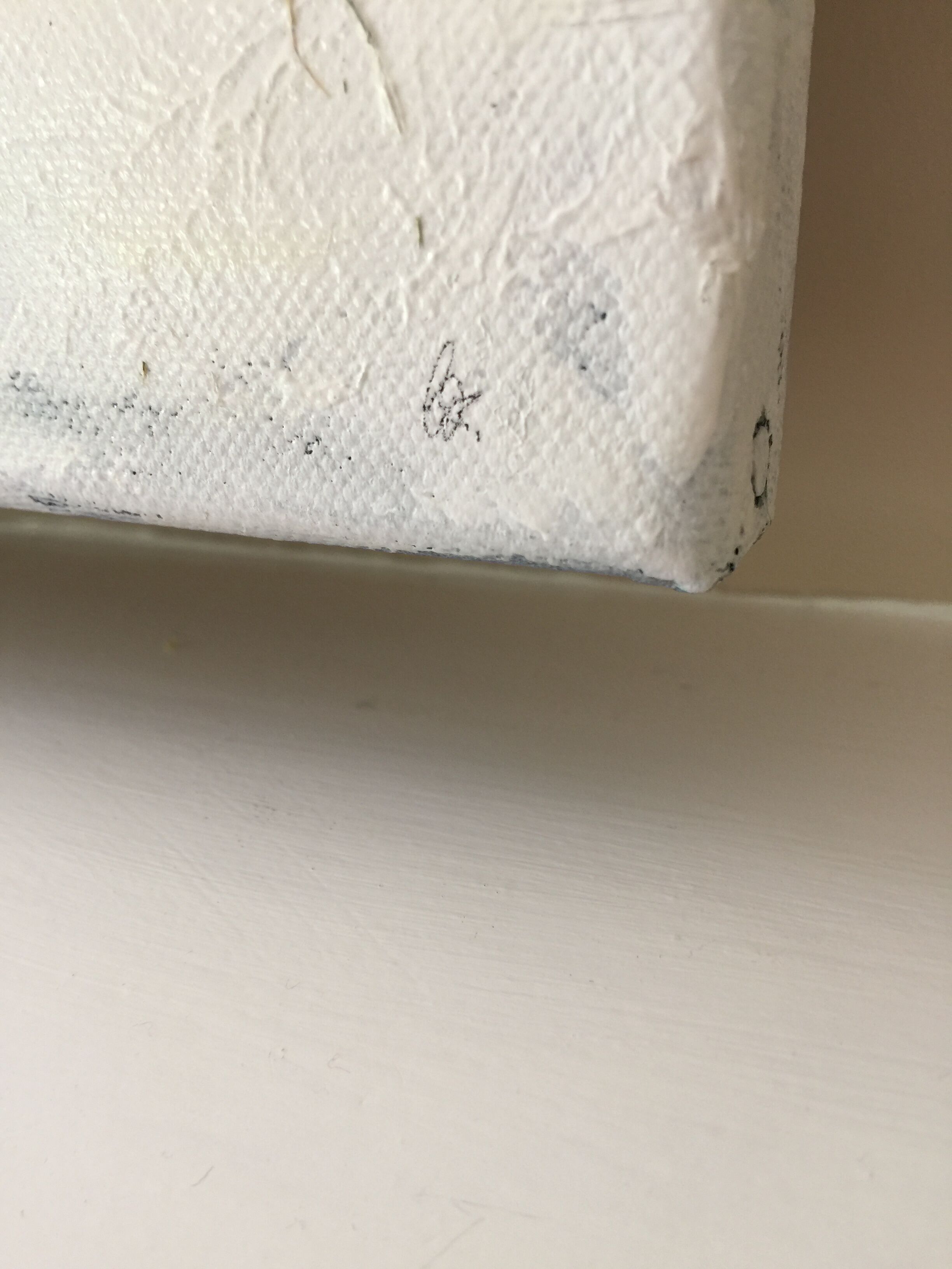 Acrylic paint on chassis