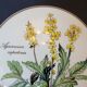 Round porcelain box Villeroy & Boch Botanica Agrimonia Eupatora collection