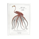 Chimera lithograph animal engraving - the pink flamoulpe