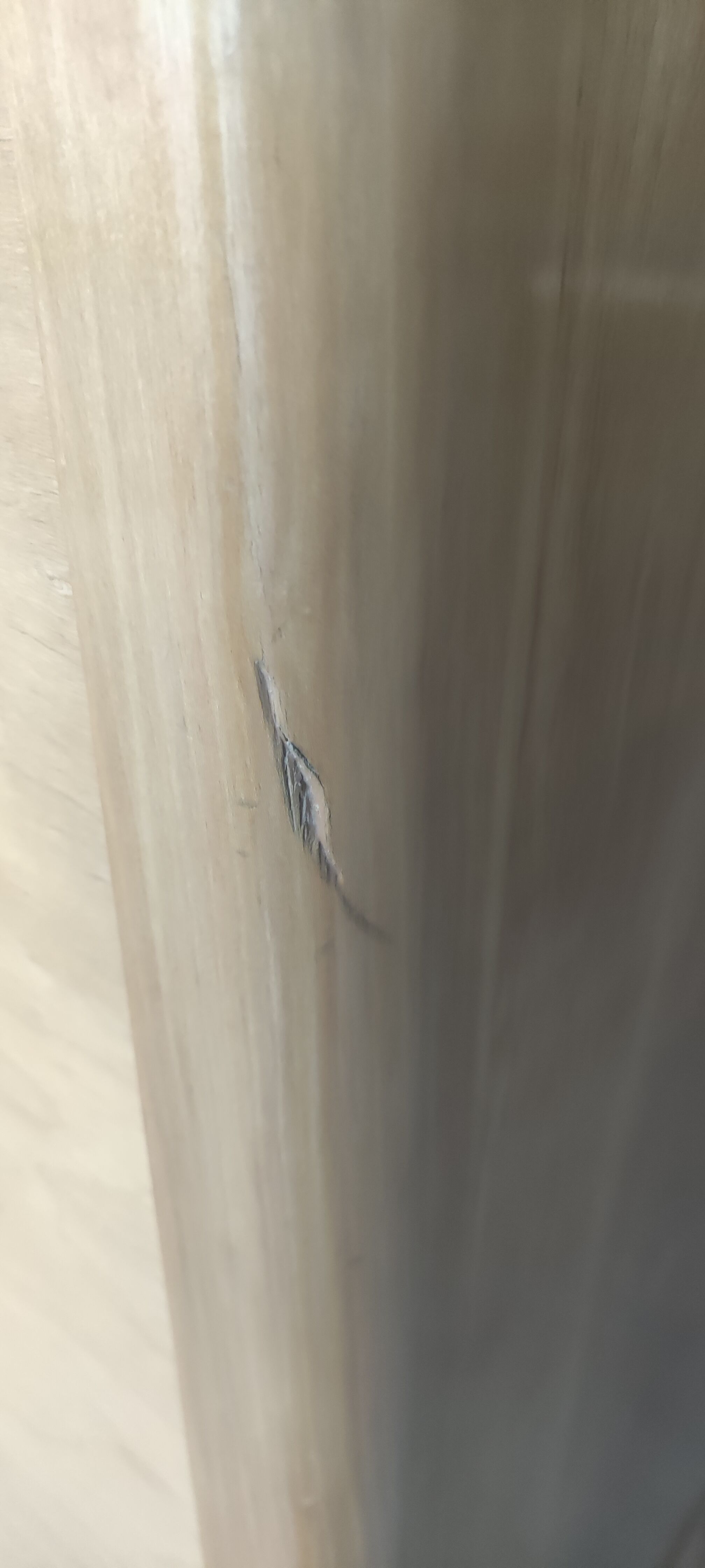 3-door art deco elm veneer cabinet