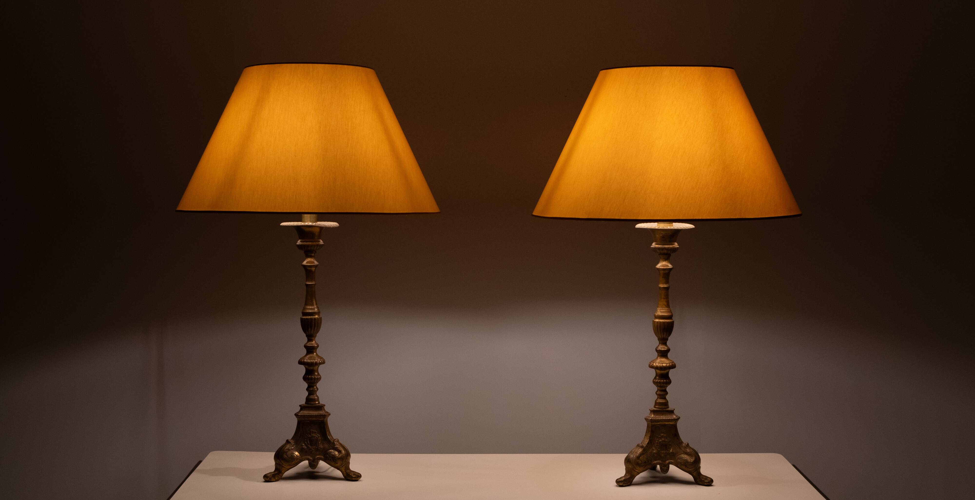 Gilded Bronze table lamps with shades France 1880s