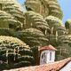 Vintage Mediterranean landscape – oil on canvas with a knife, yes
