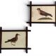 Pair of 19th Century French Folk Art Frames with Pomar Codex Bird Facsimiles
