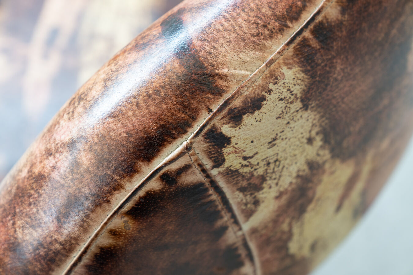 Leather swivel armchairs, early twenty-first century, set of 2