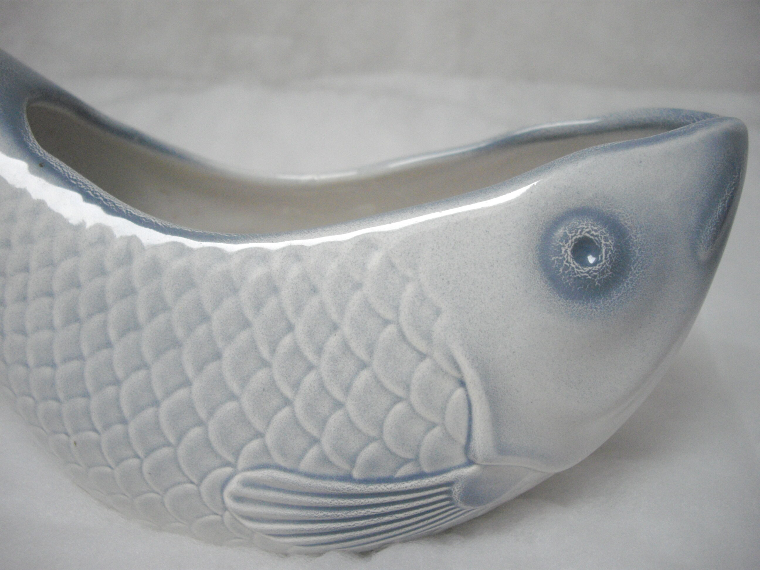 Sauce boat fish Salins-les-Bains