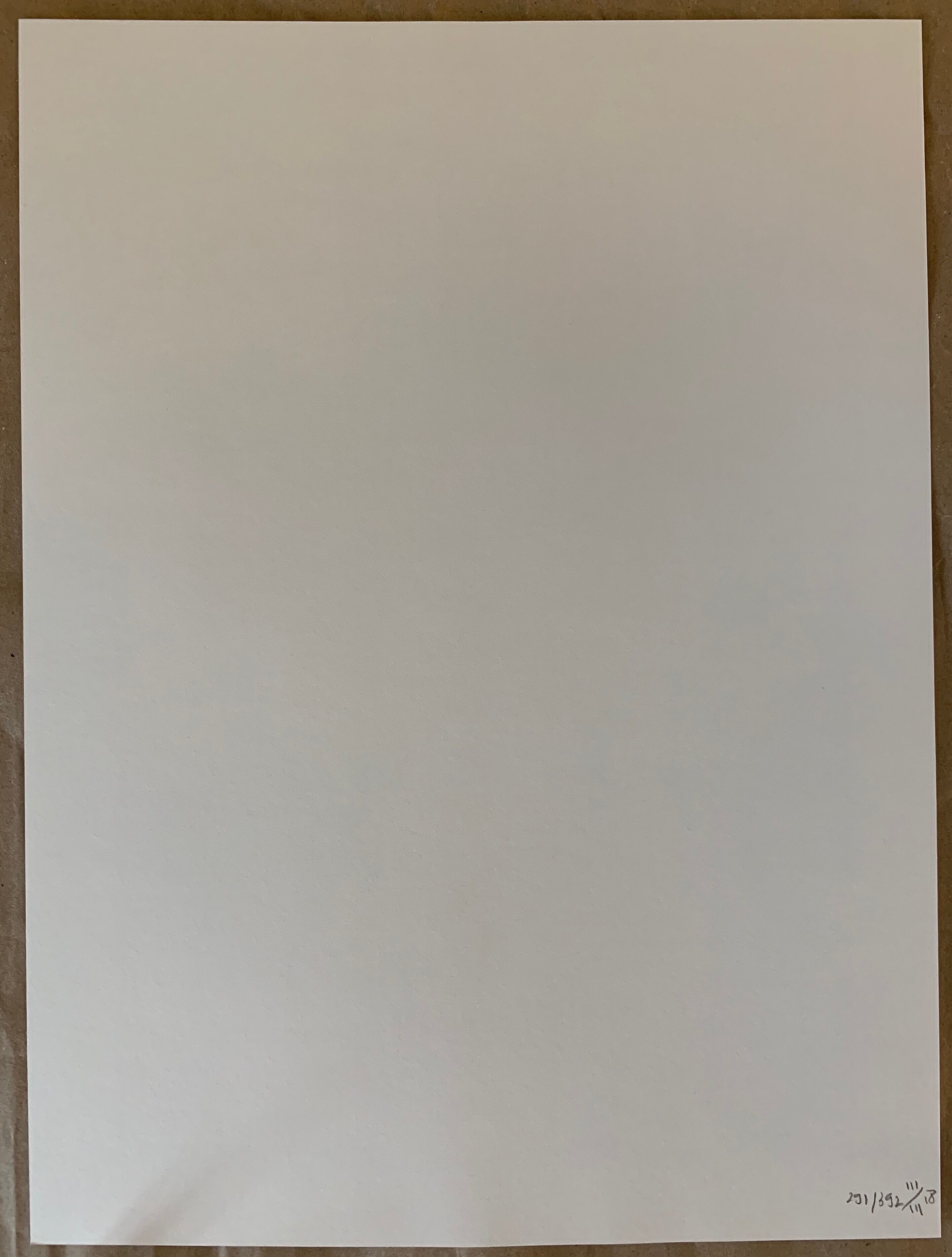 Impression lithographique de la planète kepler-16b issue de la série "visions du futur"