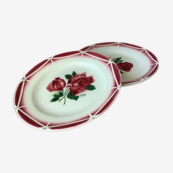 Plates Digoin Cibon Ironstone floral decoration