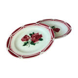 Plates Digoin Cibon Ironstone floral decoration