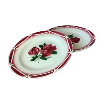 Assiettes Digoin Cibon Ironstone décor floral