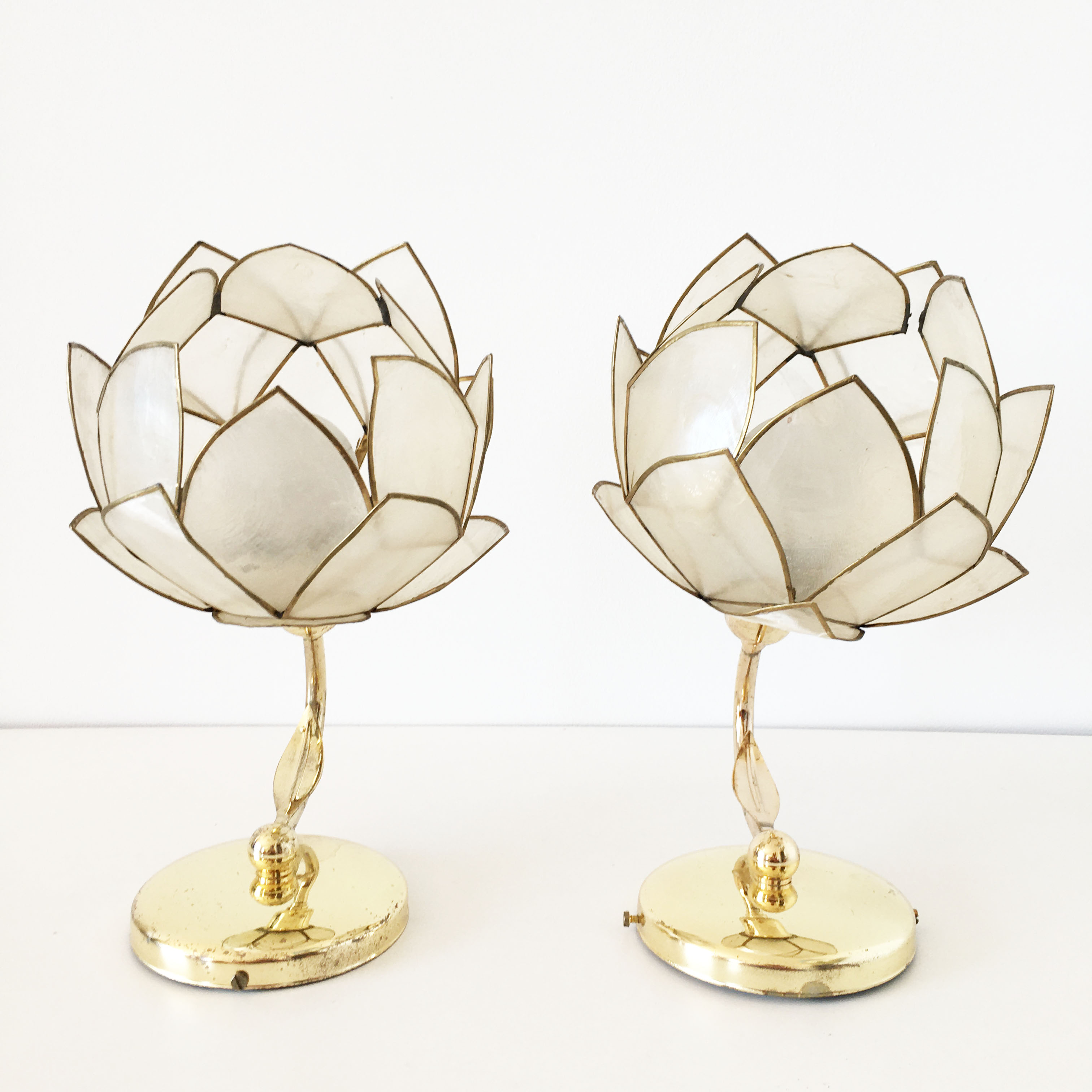Pair of mother-of-pearl flower sconces