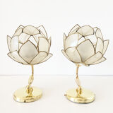 Pair of mother-of-pearl flower sconces