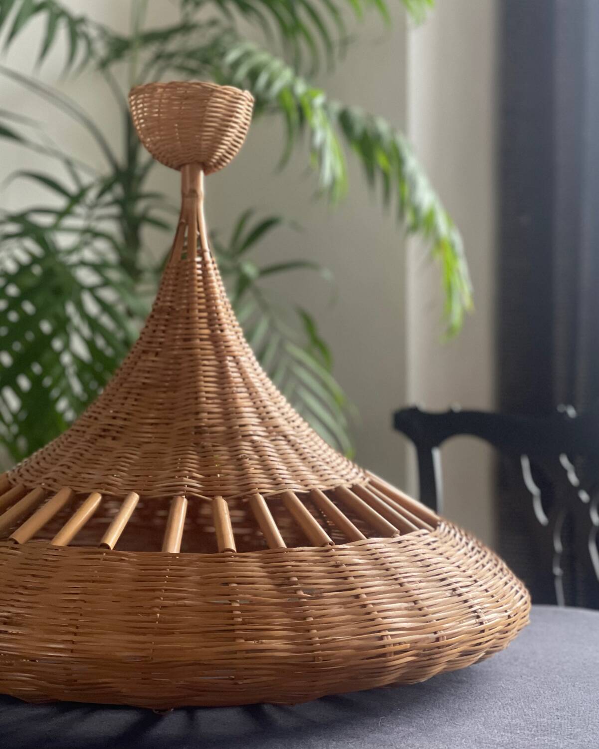 Rattan suspension 1960