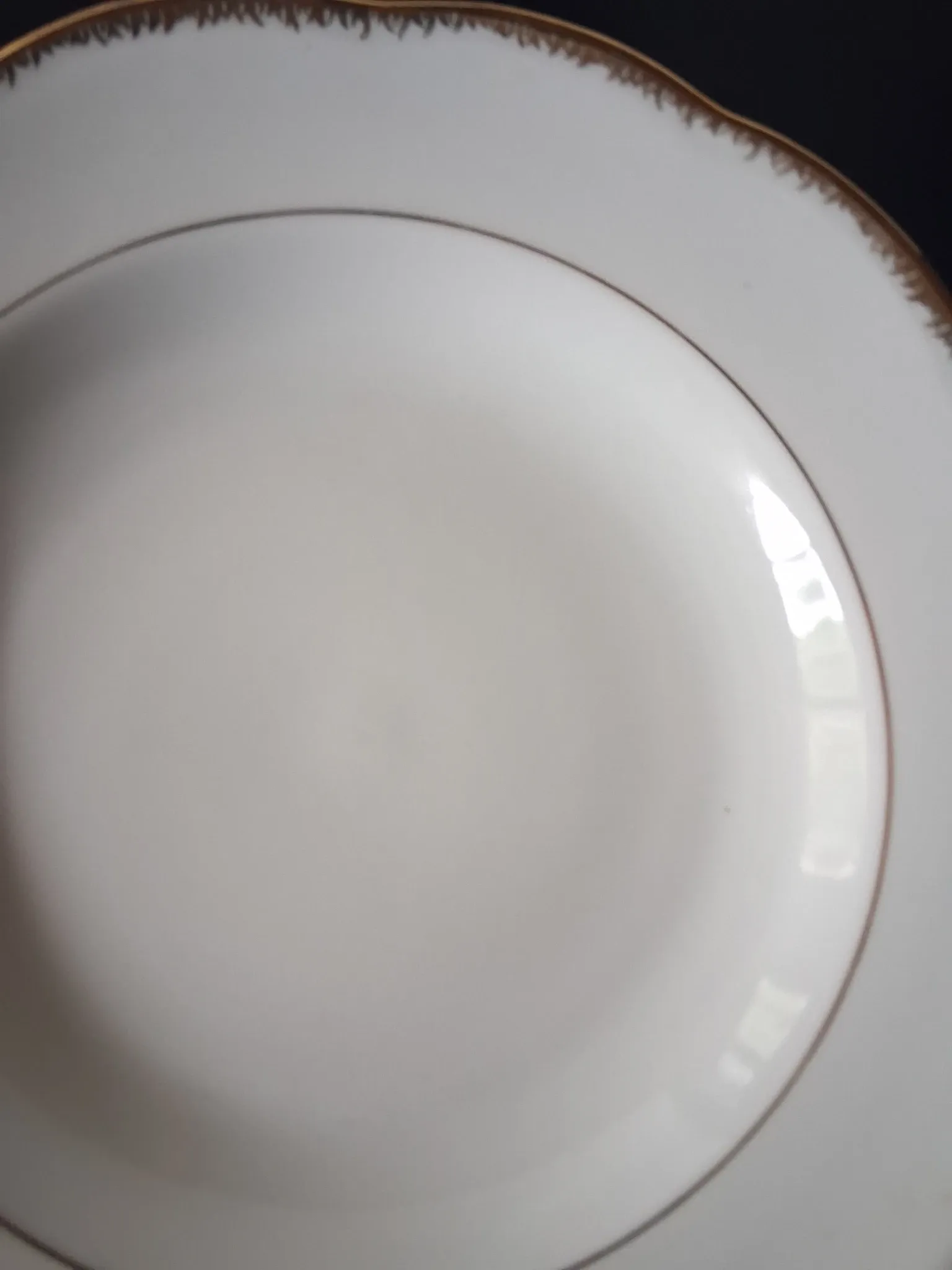 6 deep plates in porcelain from France SEr in very good condition.