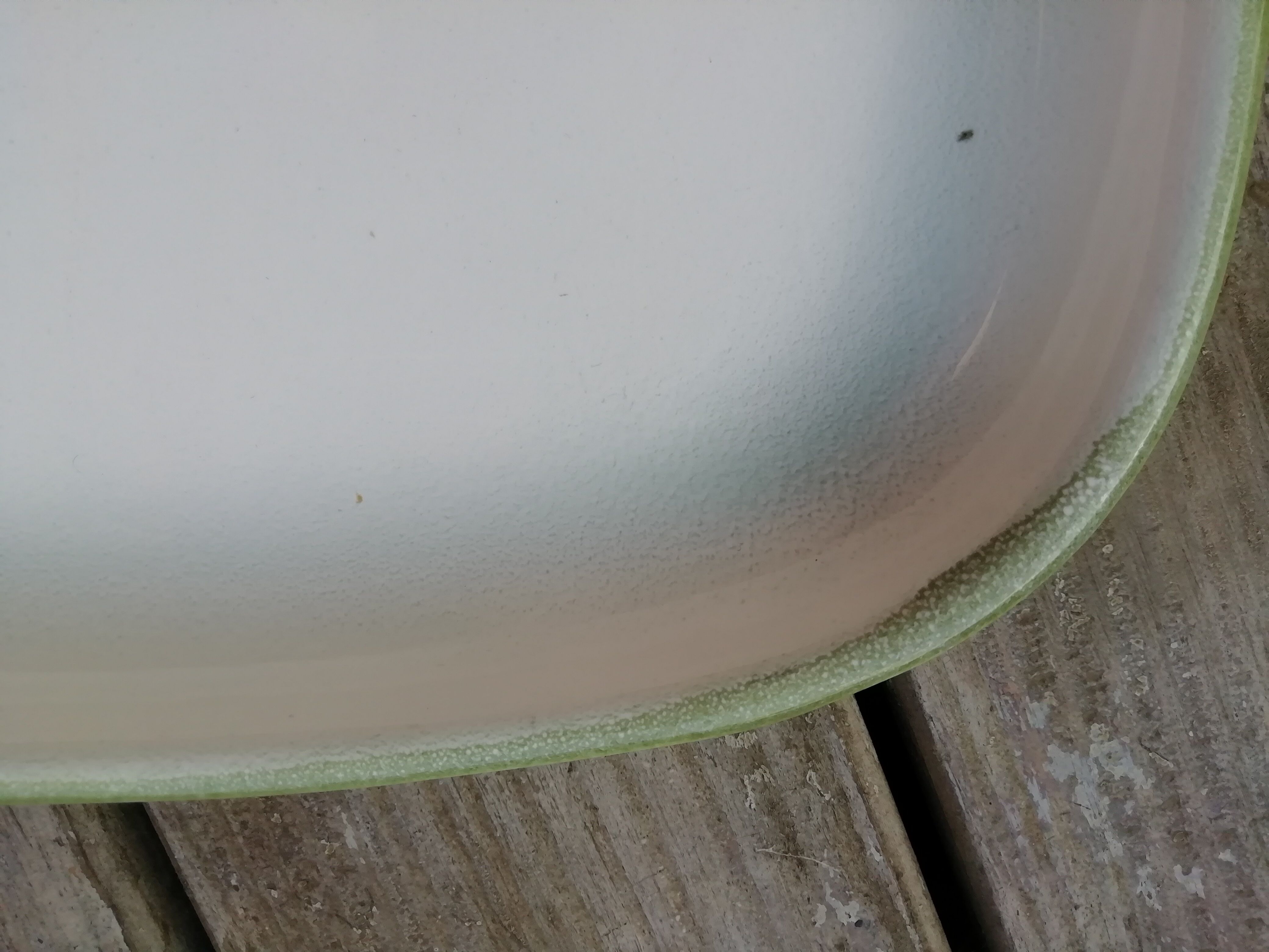 Salins Dish