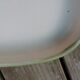 Salins Dish