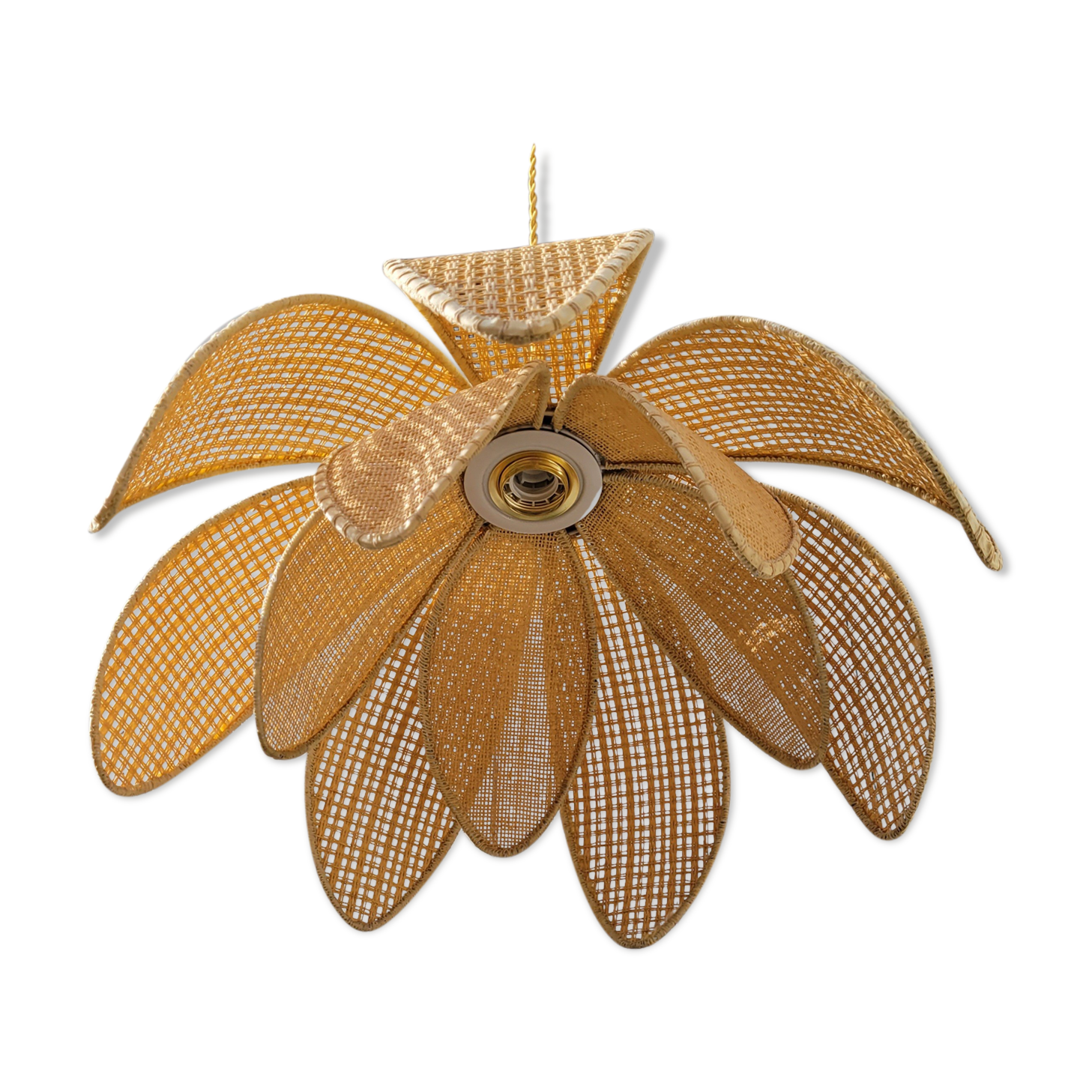Rattan palm suspension and canning