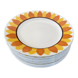 Flat plates model TOURNESOL DIGOIN
