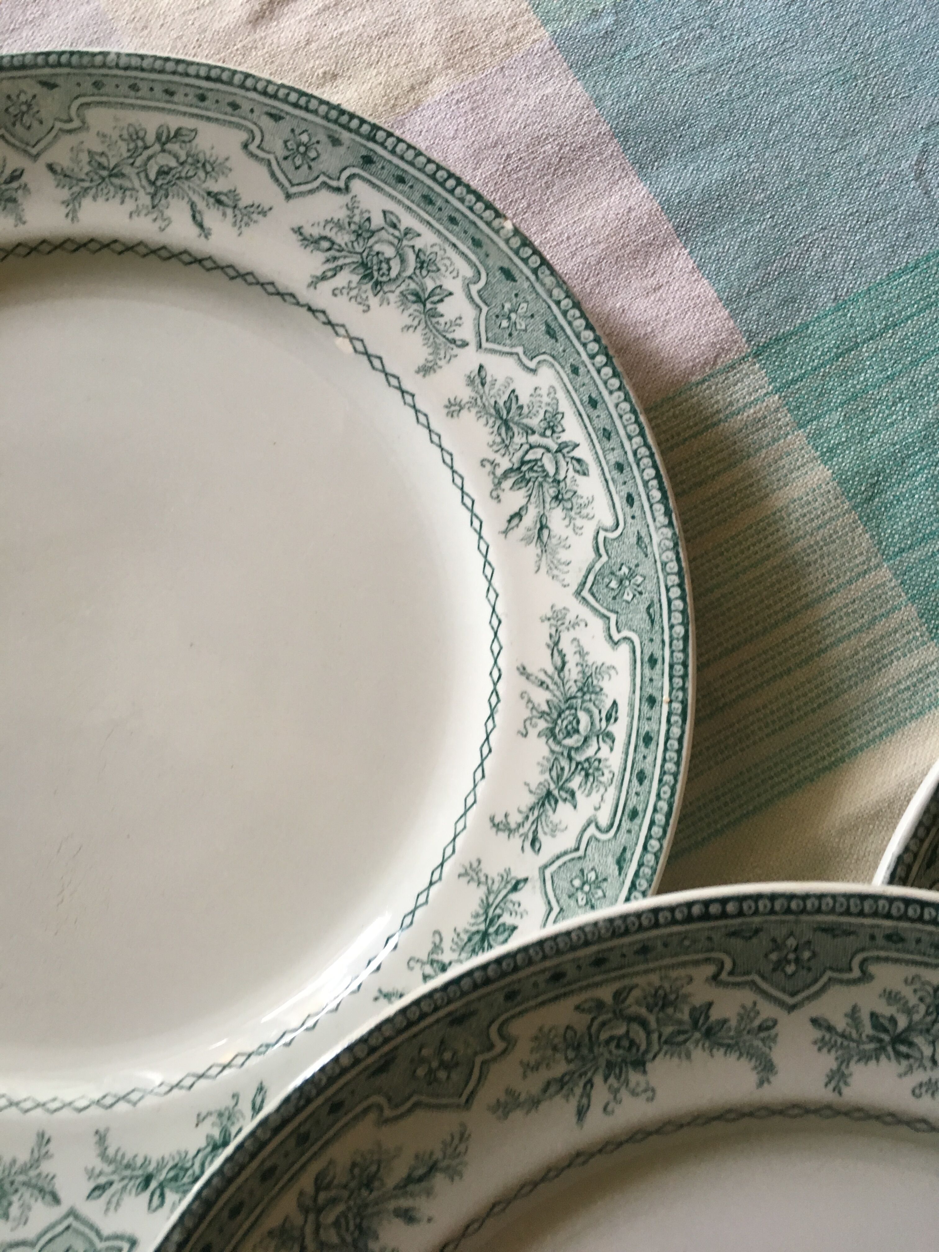 Set of flat plates Roses Mousses