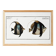 Poster about Butterfly Fish, based on an old engraving from 1746.
