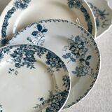 9 mismatched blue ironstone plates