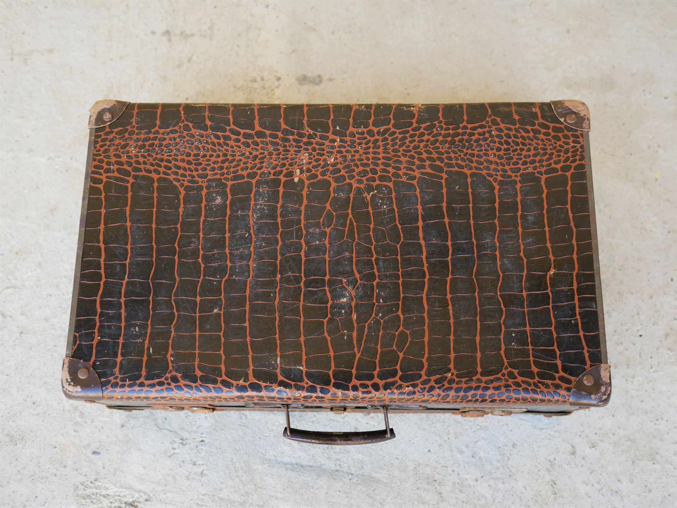 Vintage imitation crocodile case