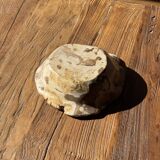 Round beige petrified wood bowl D21- 3780
