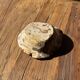 Round beige petrified wood bowl D21- 3780