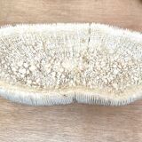 Coral “shark cushion”