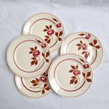 Luneville dessert plates